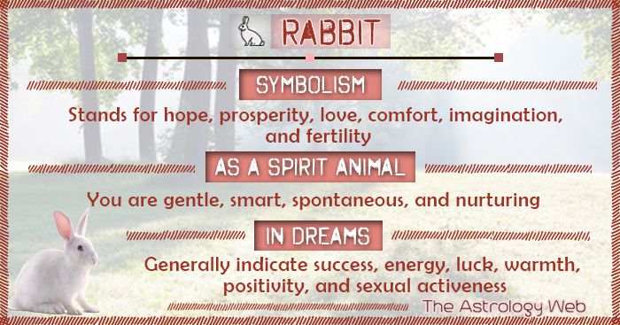 Discover the Spiritual Meaning of Rabbit: 5 Essential Insights for 2025