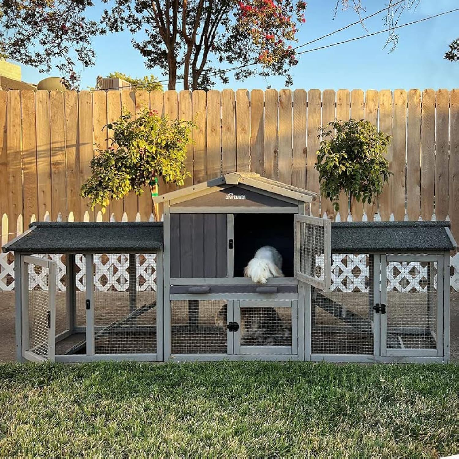 Innovative rabbit hutch design