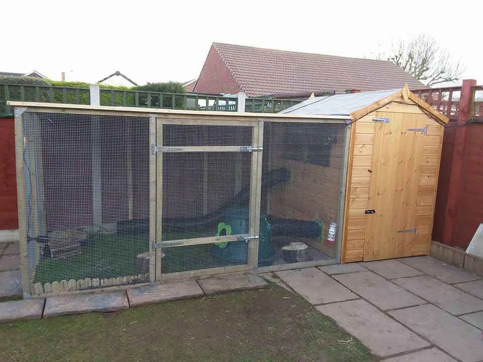 Practical Guide to Building an Effective Outdoor Rabbit Enclosure in 2025