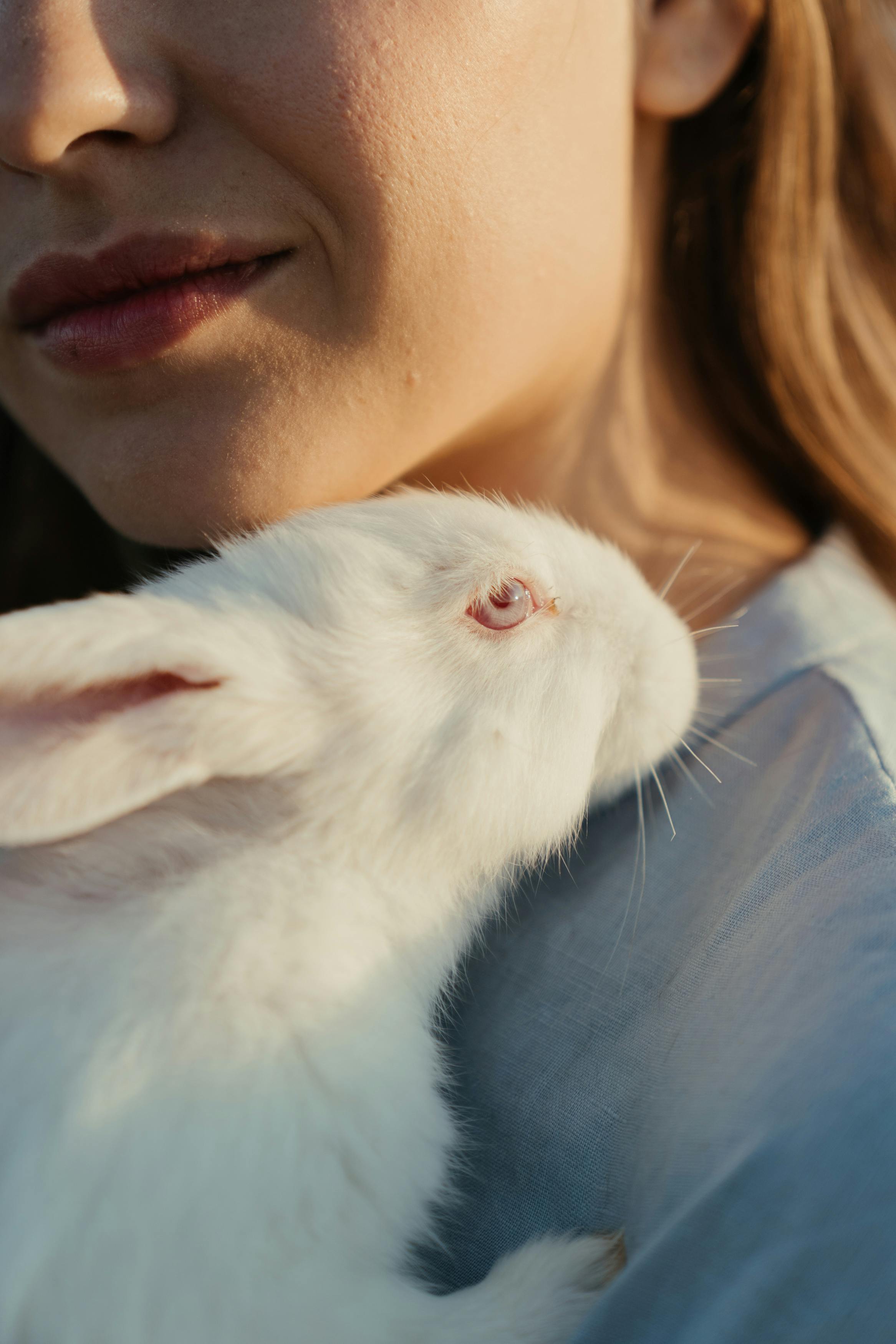 Rebel Rabbit Seltzer